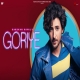 Goriye New Hindi Song
