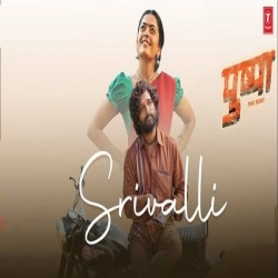 Srivalli Pushpa Hindi Song Mp3 Song Download