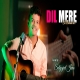 Dil Mere - Sooryavansham Cover By Satyajeet Jena PagalWorld