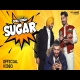 Sugar The Landers Mp3 Download