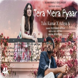 Tera Mera Pyaar Song Tulsi Kumar, Aditya A.mp3